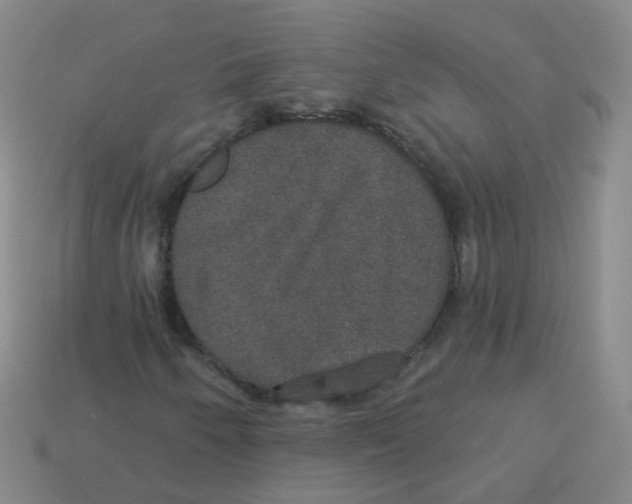 X0000113551250200910161426