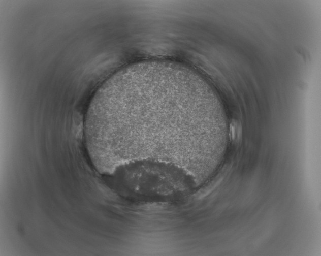 X0000113551251200910161426