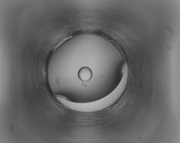 X0000113551252200910161426