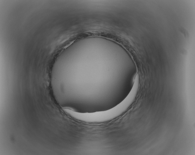 X0000113551253200910161426