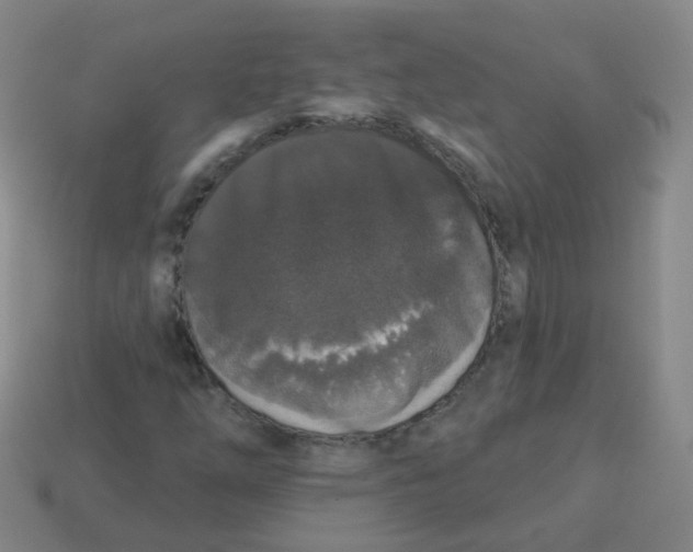 X0000113551254200910161426