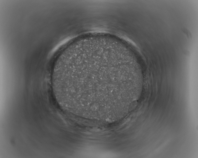 X0000113551255200910161426
