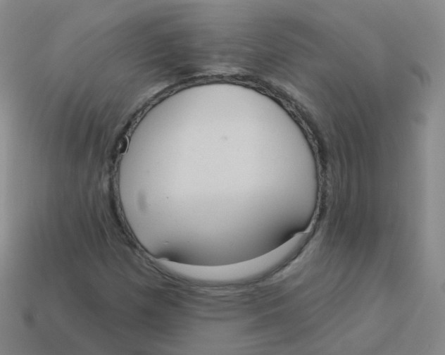 X0000113551257200910161426