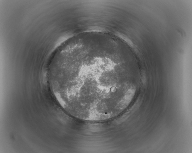 X0000113551258200910161426