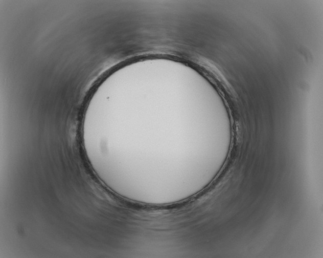 X0000113551260200910161426