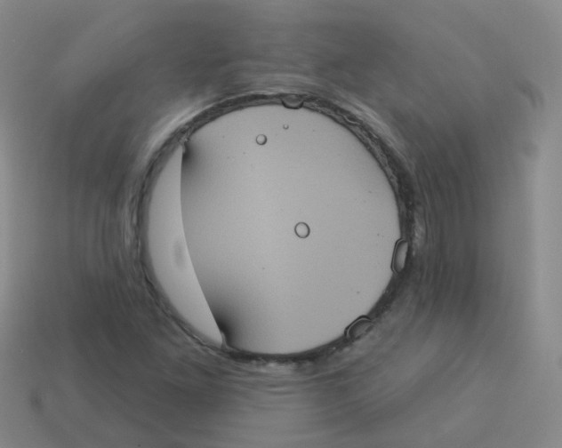 X0000113551261200910161426