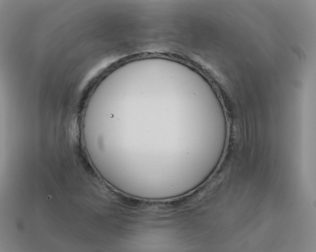 X0000113551262200910161426