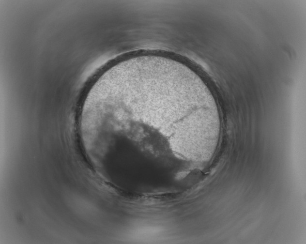 X0000113551263200910161426