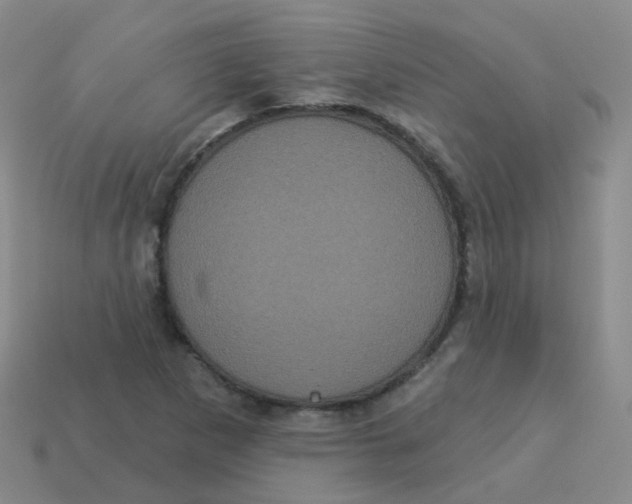 X0000113551265200910161426