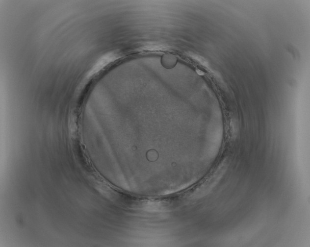 X0000113551266200910161426