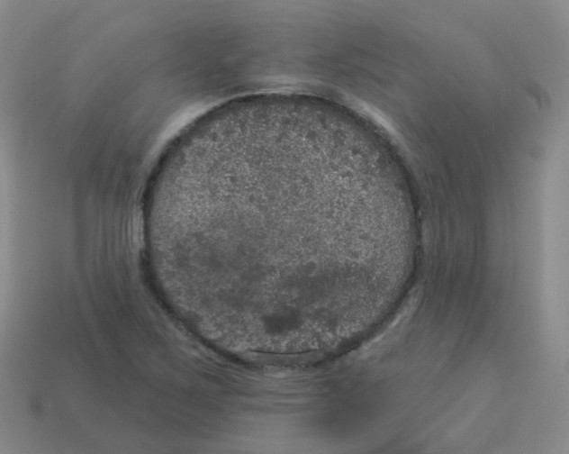 X0000113551267200910161426
