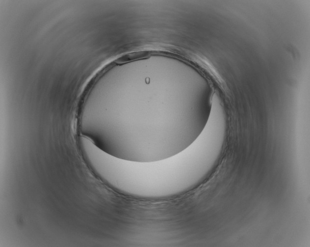 X0000113551268200910161426