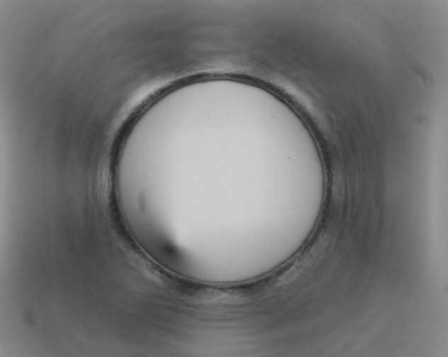 X0000113551270200910161426