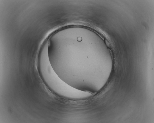 X0000113551272200910161426