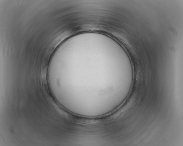 X0000113551273200910161426