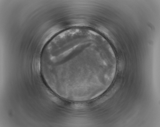 X0000113551274200910161426