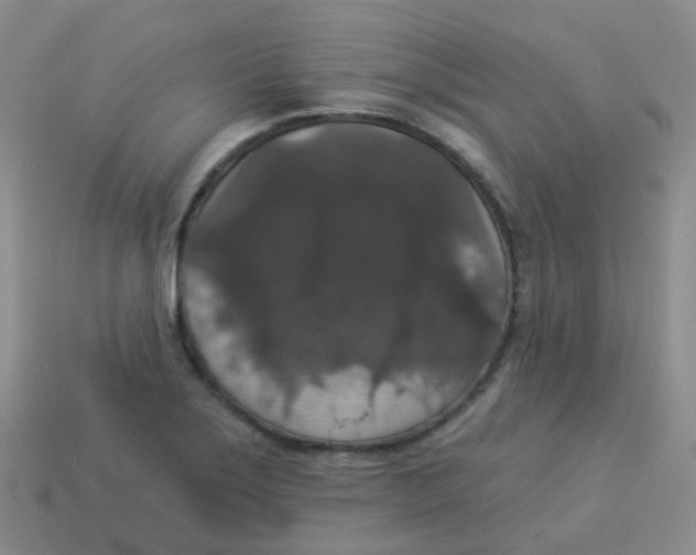 X0000113551275200910161426