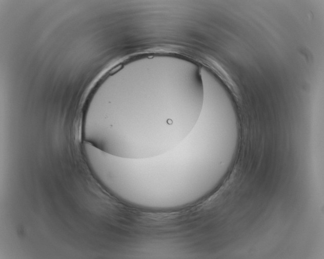 X0000113551276200910161426