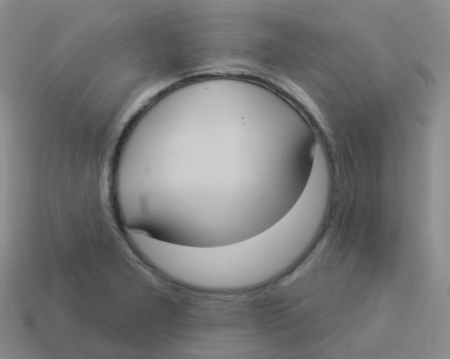 X0000113551277200910161426