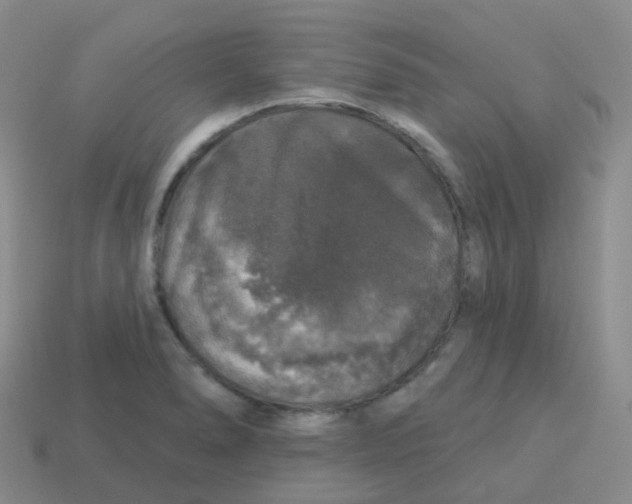X0000113551278200910161426