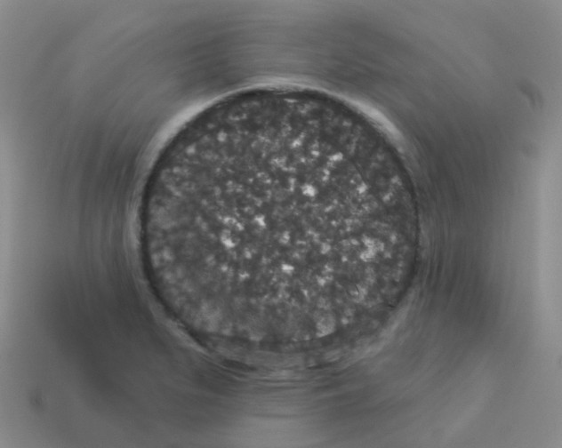 X0000113551279200910161426