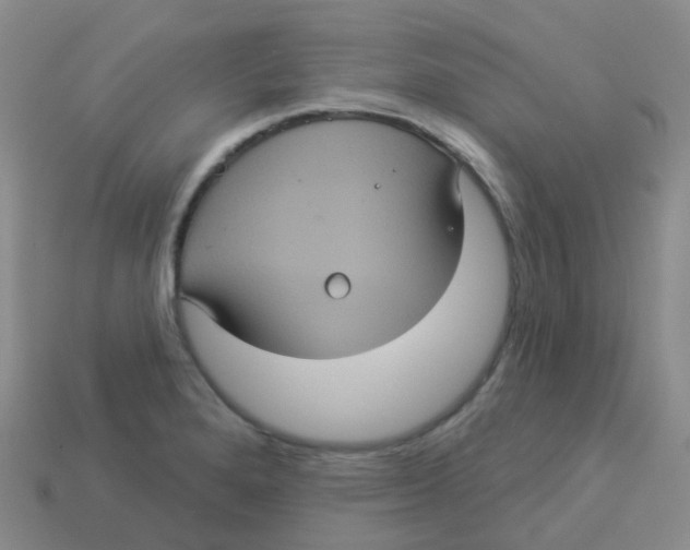 X0000113551280200910161426