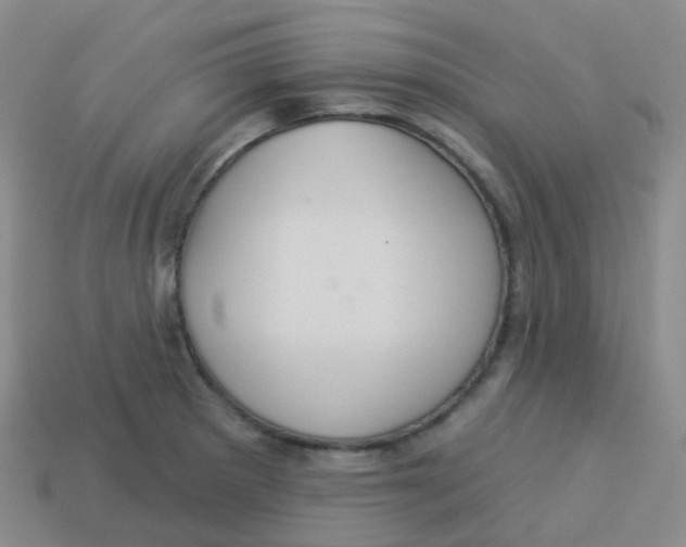 X0000113551281200910161426