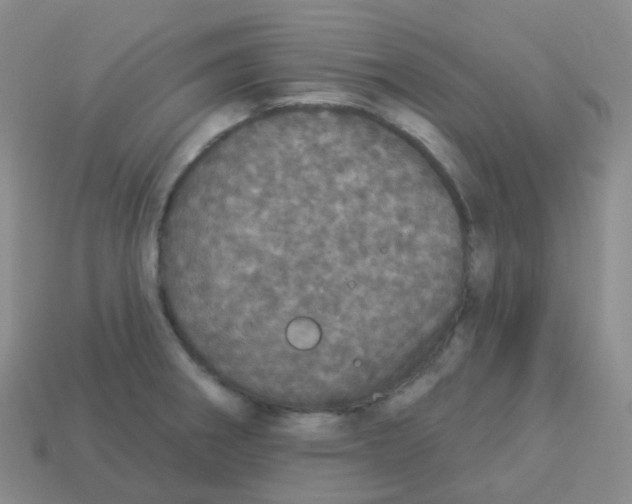 X0000113551282200910161426