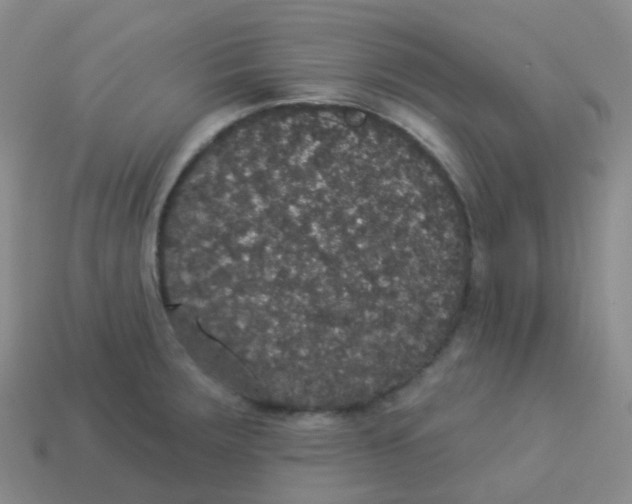 X0000113551283200910161426