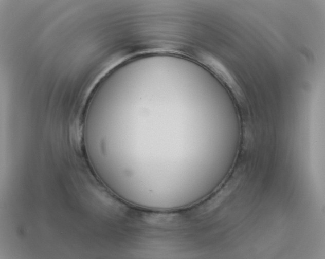 X0000113551284200910161426