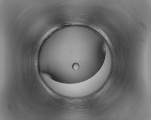 X0000113551285200910161426