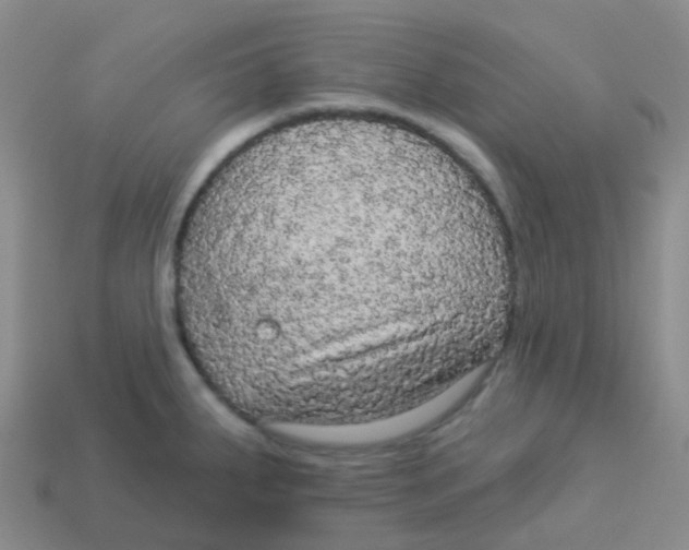 X0000113551287200910161426