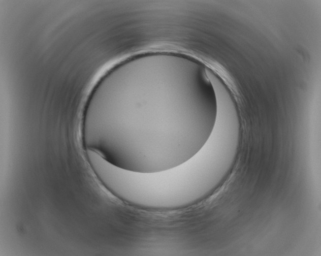X0000113551288200910161426
