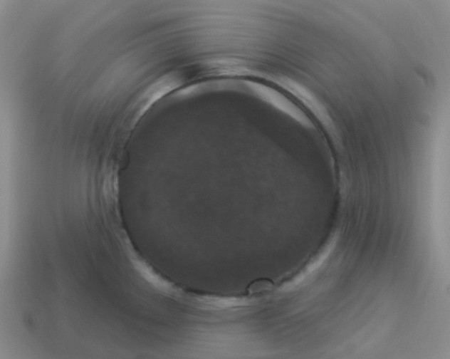 X0000113551289200910161426
