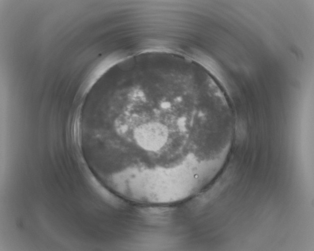 X0000113551290200910161426