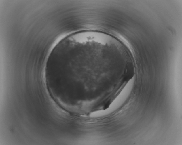 X0000113551291200910161426