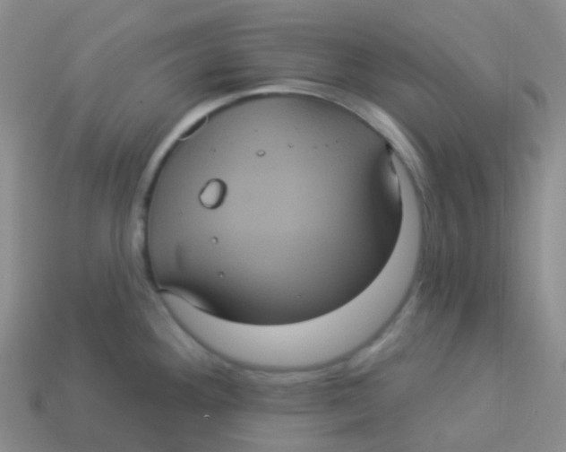 X0000113551292200910161426