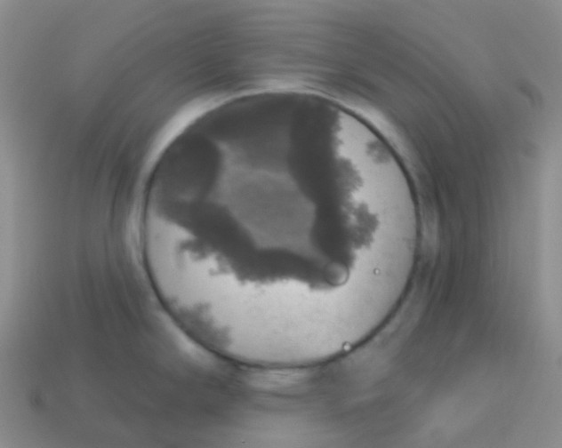 X0000113551294200910161426