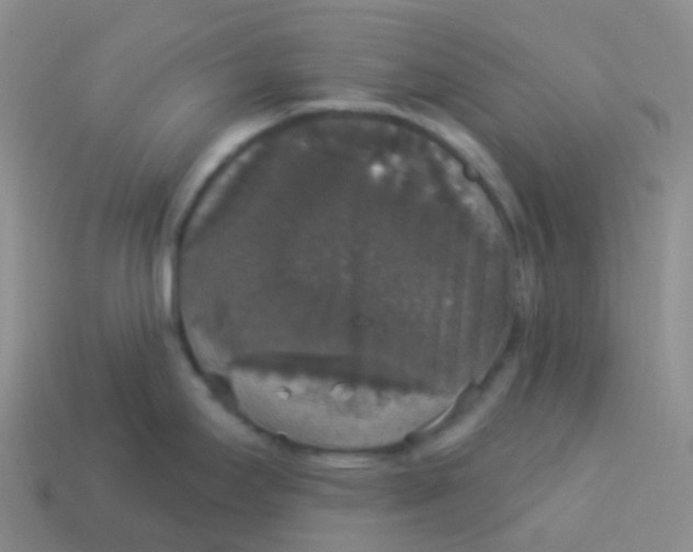 X0000113551295200910161426
