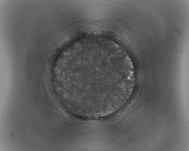 X0000113551297200910161425