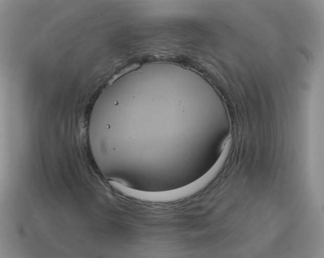 X0000113551298200910161425