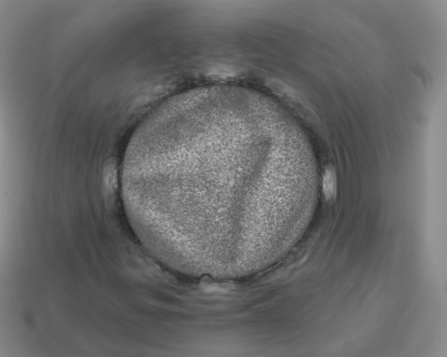 X0000113551299200910161425