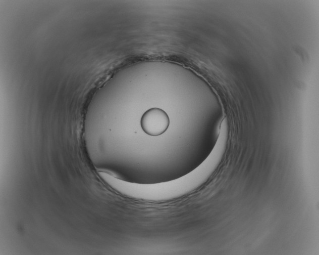 X0000113551300200910161425