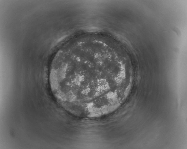 X0000113551301200910161425