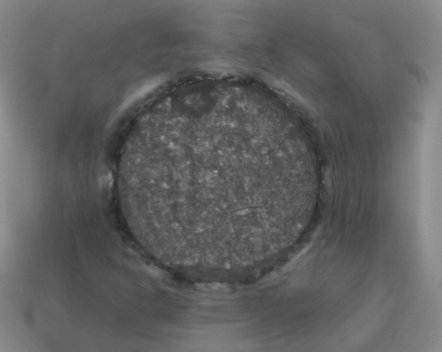 X0000113551302200910161425