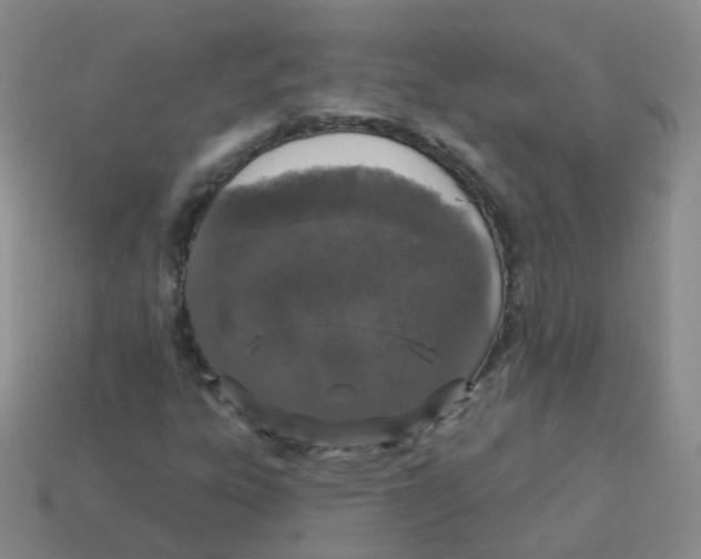 X0000113551303200910161425