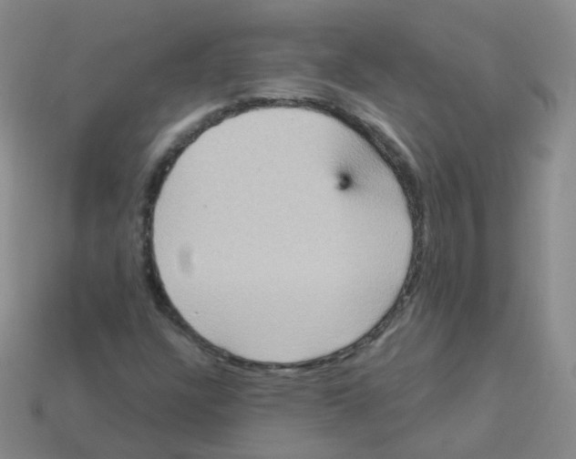 X0000113551304200910161425