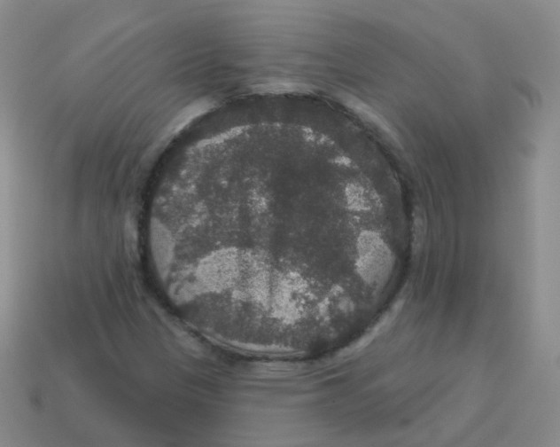 X0000113551305200910161425