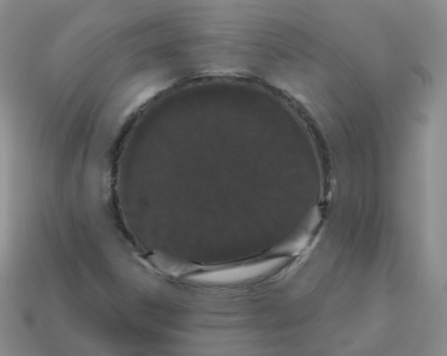 X0000113551306200910161425