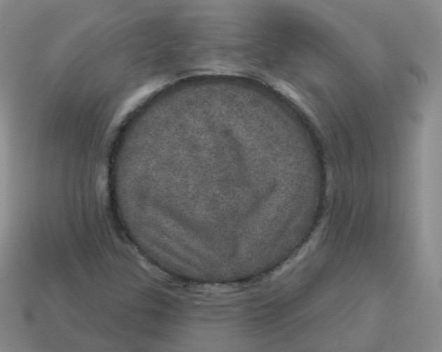 X0000113551307200910161425